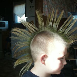 Meet your Posher, Brandon